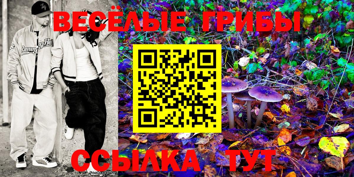 Касимов  Псилоцибиновые грибы мухоморы  Галлюциногенные грибы MAGIC MUSHROOMS  Вход с VPN 